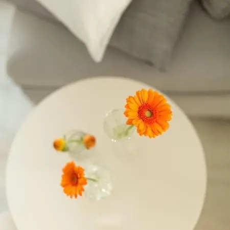 Vitamin Sea Holiday home *