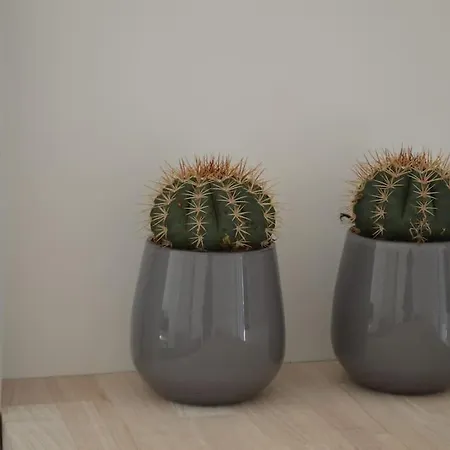 Vitamin Sea Holiday home *