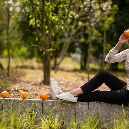 Vitamin Sea Holiday home