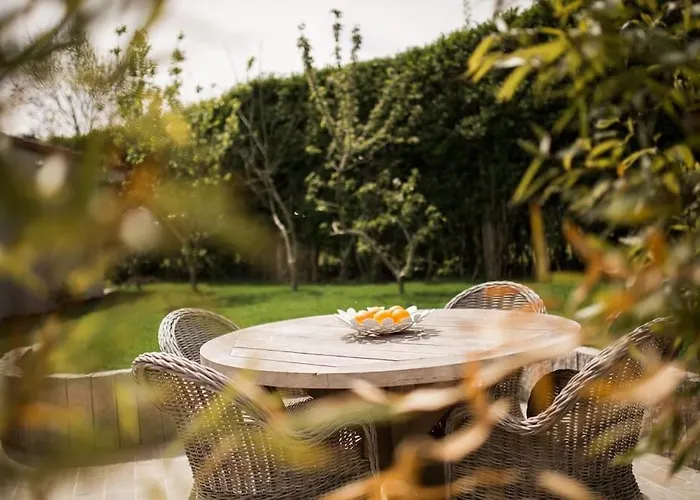 Vitamin Sea * Koksijde